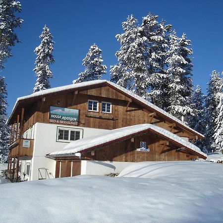 קימברלי Alpenglow Bed And Breakfast מראה חיצוני תמונה