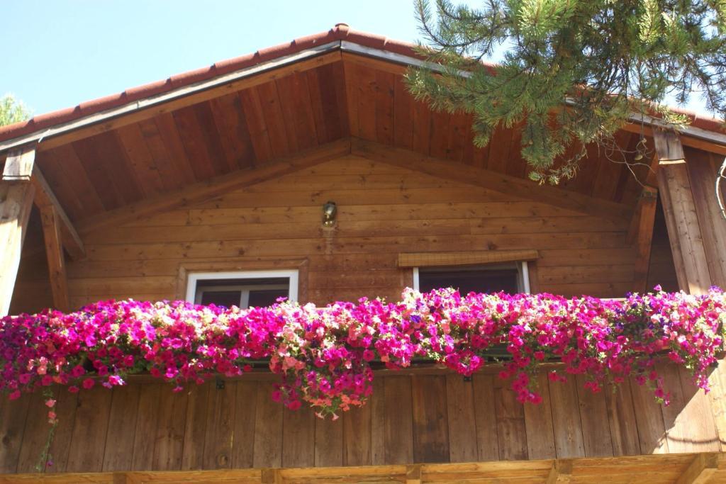 קימברלי Alpenglow Bed And Breakfast חדר תמונה